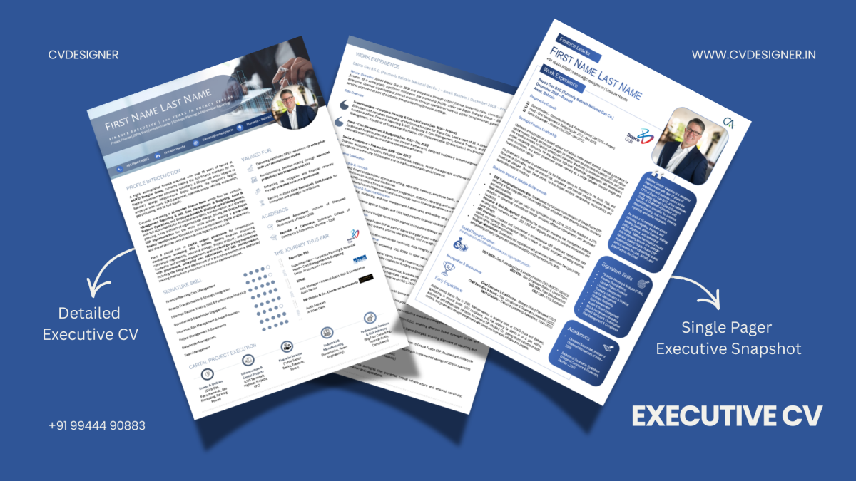 Customized Executive CV