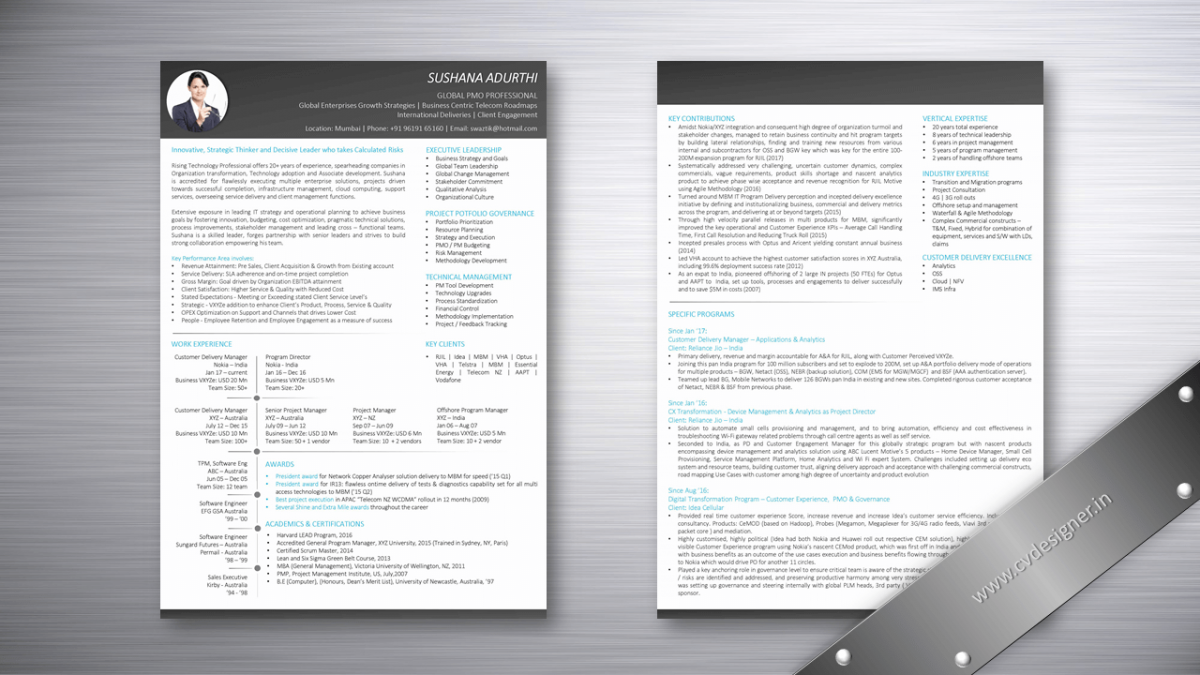 Global PMO Professional Text Resume Samples