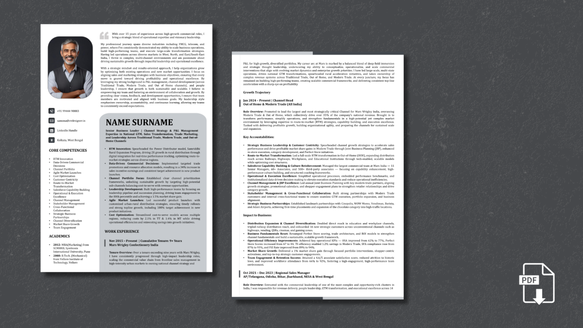 Text resume sample by CV Designer - professional ATS-friendly format Text Resume Creation