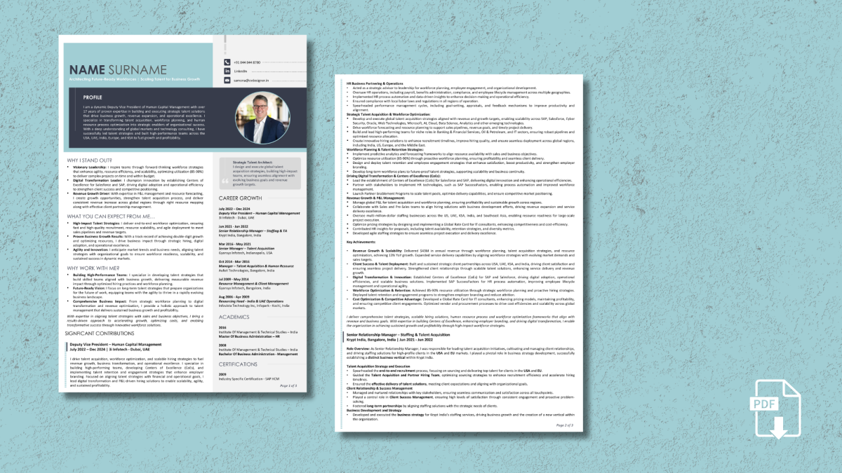 Text resume sample by CV Designer - professional ATS-friendly format Text Resume Creation