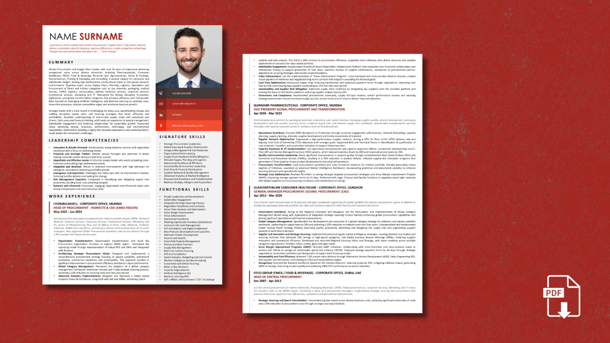 Text resume sample by CV Designer - professional ATS-friendly format Text Resume Creation