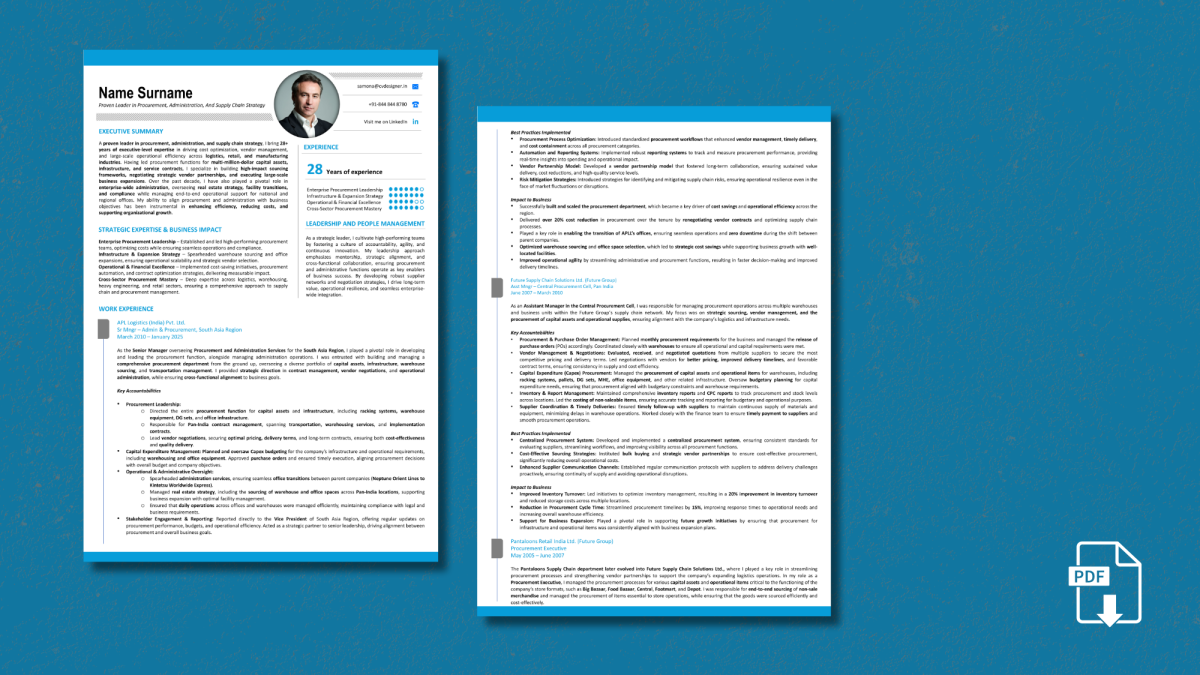 Text resume sample by CV Designer - professional ATS-friendly format Text Resume Creation