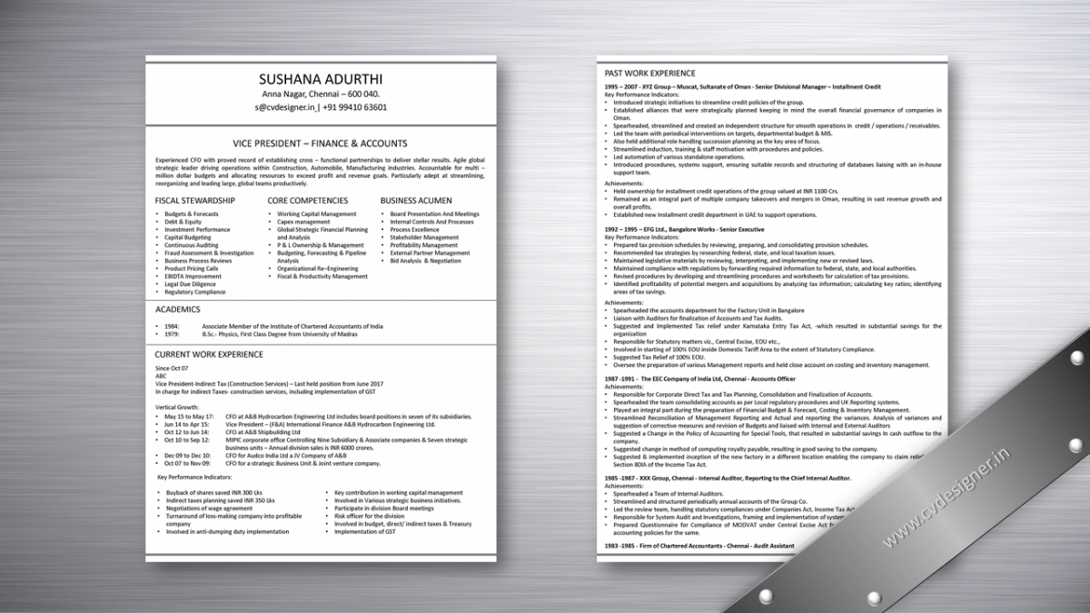 Vice Precident â€“ Finance and Accountant Resume Samples
