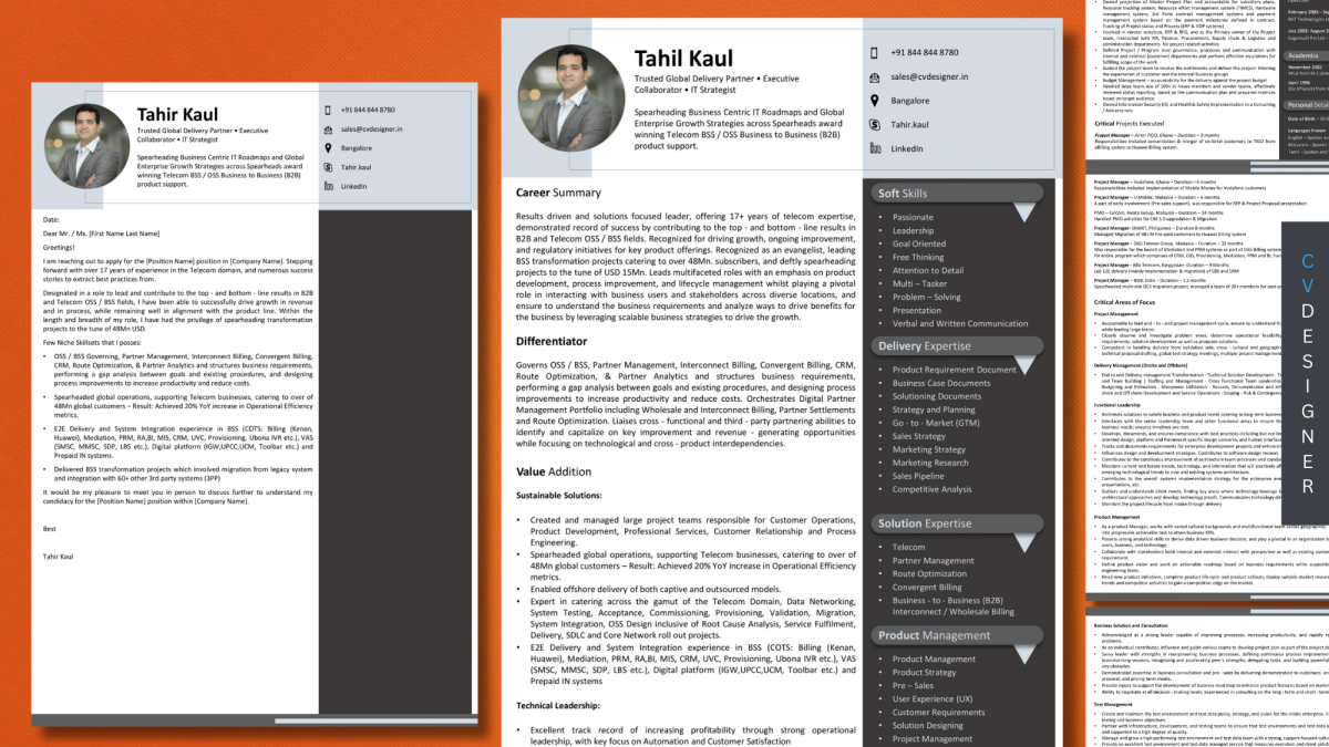 IT Strategist - CV + CL
